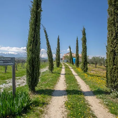 La Bella Addormentata * Castilenti
